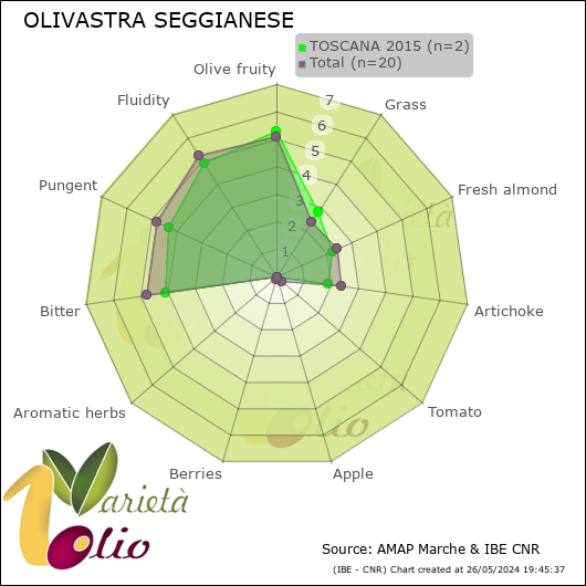 Profilo sensoriale medio della cultivar  TOSCANA 2015